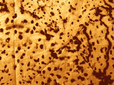 Sarı taba sığır derisi Grunge. Eski Felç Antika Nokta. Tan Stripe Şablon Lekesi. Eski Hayvan Parşömeni dokusu. Kırsal Tan Suluboya. Eski Sıcak Arkaplan Doku Çizgisi Felç Sıkıntılı Boya.