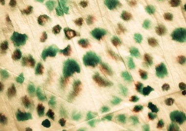 Gül yaratıcı kravat boyası. Kova boyası. Kirli Arkaplan. Sarı suluboya baskı. Retro Modern Boyalı. Fırçalanmış İpek. Eski Dişli Kağıt. Sarı Grafik Boyalı.