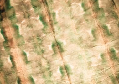 Yeşil Sanatsal Kravat Boyası. Aquarelle dokusu. Kirli Sanatlar Tarzı. Bej renkli suluboya baskı. Kaba kaba sanat baskısı. Fırçalanmış İpek. Eski Fırça Boyası. Pastel Geleneksel Boyalı.
