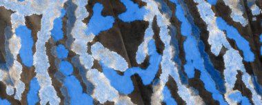 Sea Tie Dye Batik. Suluboya boya. Kirli Sanat Ressamlığı. Koyu suluboya baskı. Deniz Grafiği Boyalı. Siyah Fırçalı Malzeme. Fırçalanmış doku. Beyaz Graffiti Biçimi.