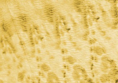 Eski Tie Boya Sanatı. Aquarelle Boya Fırçası. Kirli Sanatlar Boyası. Bej renkli suluboya fırça. Eski Grafik Boyalı. Yağlı fırça. Sarı Fırça Boyası. Eski Kaba Sanat Yazıcısı.