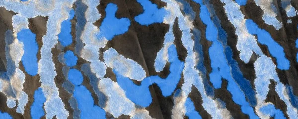 Sea Tie Dye Batik. Suluboya boya. Kirli Sanat Ressamlığı. Koyu suluboya baskı. Deniz Grafiği Boyalı. Siyah Fırçalı Malzeme. Fırçalanmış doku. Beyaz Graffiti Biçimi.