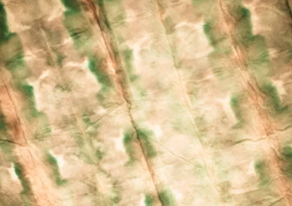 Bej rengi kravat boyalı batik. Aquarelle Boya Fırçası. Kirli Sanatlar Pankartı. Gül Kova Boyası. Eski Grafik Boyalı. Yağlı fırça. Eski Fırça Malzemeleri. Yeşil Graffiti Biçimi.