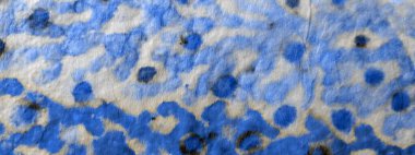 Beyaz kravat boyası. Suluboya mürekkep. Kirli Sanatlar Tarzı. Soyut Kova Boyası. Soyut Kabataslak Sanat Yazıcısı. Fırçalanmış malzeme. Beyaz Fırçalı Malzeme. Geleneksel Boyalı.