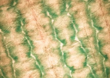 Gül yaratıcı kravat boyası. Suluboya mürekkep. Kirli Sanatlar Boyası. Rose Aquarelle boya fırçası. Parşömen Grafik Boyalı. Fırçalanmış kağıt. Eski Fırçalı Doku. Gül Graffiti Biçimi.