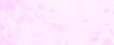 Beyaz kravat boyası. Aquarelle dokusu. Beyaz Kirli Sanatlar Sanatçısı. Özel Kova dokusu. Özel Kaba Sanat Baskısı. Yağ mürekkebi. Gül Fırçası Boyası. Graffiti Biçimi.