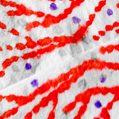 Gri Yaratıcı Kravat Boyası. Suluboya Baskı. Kirli Sanat Ressamlığı. Gri Kova dokusu. Beyaz Modern Boyalı. Tarz Fırçalı Doku. Retro Fırçalanmış İpek. Gri Modern Boyalı.