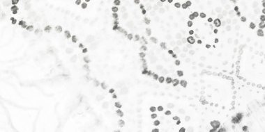 Gri boyalı kumaş mürekkebi. Gri aşınmış buzlu arka plan. Havalı Artistik Kanva. Hafif Halk Grunge. Rustik Mürekkep Kağıdı. Görüntü Sanatsal Toprak. Siyah desenli boş. Beyaz Soyut Boya Fırçası