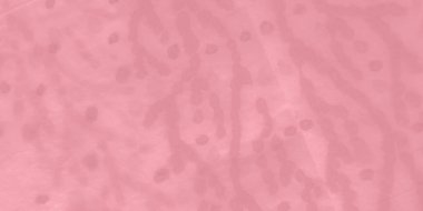 Coral Tie Dye Batik. Aquarelle dokusu. Kirli Sanatlar Pankartı. Aquarelle Boya Fırçası Kutlaması. Tatil Graffiti Grunge. Fırçalanmış doku. Kadın Dişli Doku. Geleneksel Boyalı.