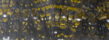 Lüks yaratıcı kravat boyası. Suluboya Baskı. Sanatsal Kirli Kanva. Sarı suluboya fırça. Geleneksel Kağıt Boyalı. Gri Yağ Mürekkebi. Güneşli Fırçalı Doku. Sarı Graffiti Grunge.