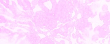 Beyaz kravat boyası. Aquarelle Boya Fırçası. Coral Dirty Art Boya. Mor suluboya fırça. Güzel Graffiti Tarzı. Fırça boyası. Pembe fırça boyası. Modern Boyalı.