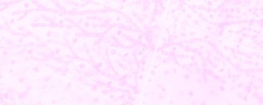 Blur kravat boyası Grunge. Suluboya Baskı. Rose Dirty Art Banner. Mor suluboya baskı. Güzel Rough Art Print. Yağ mürekkebi. Mercan Fırçalı Kağıt. Graffiti Biçimi.