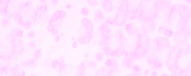 Kırmızı kravat boyama sanatı. Aquarelle dokusu. Kırmızı Dirty Art Banner. Pastel Suluboya Fırçası. Güzel Rough Art Print. Fırçalanmış malzeme. Mercan Fırçalı Kağıt. Geleneksel Boyalı. 