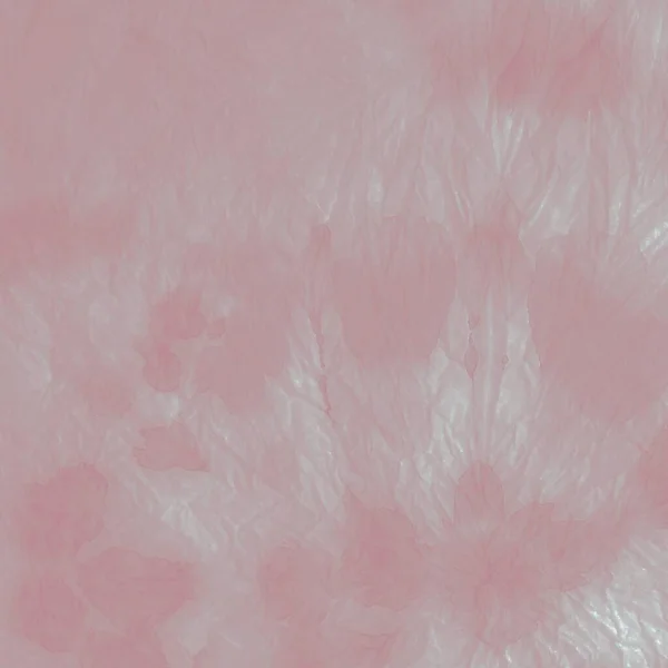 그레이 티에예 프린트 페인트 전통적 형식으로 — 스톡 사진