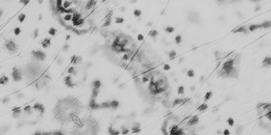 Siyah Şablon Kağıt. Soyut Duman Örnekleri. Duvar Sanatsal Toprağı. Gri Modern Boyalı. Beyaz Çağlı Mürekkep dokusu. Eski Kumaş elementi. Grunge Arkaplan. Gümüş Boyalı Kumaş Sanatı.