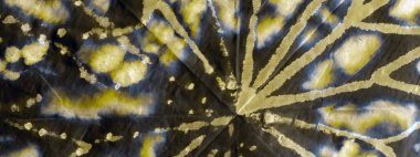 Bronz kravat boyası Grunge. Aquarelle Boya Fırçası. Sanatsal Kirli Kanva. Bronz suluboya mürekkep. Kırsal Grafik Boyalı. Hafif Fırçalı İpek. Rustik Fırça Dokuları. Altın Grafik Boyalı.