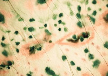 Rose Tie Dye Batik. Suluboya boya fırçası. Sanatsal Kirli Kanva. Bej Kova deseni. Klasik Graffiti Tarzı. Fırçalanmış kağıt. Kağıt fırçalı doku. Gül Graffiti Biçimi.