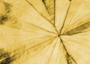 Soyut kravat boyası baskısı. Aquarelle dokusu. Kirli Arkaplan. Sarı suluboya mürekkep. Grunge Grafik Boyalı. Yağlı fırça. Eski Dişli Kağıt. Demode Graffiti Biçimi.