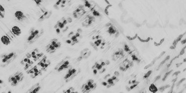 Siyah Kağıt Materyal. Grunge Soyut Kova. Solgun Grunge Arkaplan. Wall Folk Rough Sanat. Beyaz Retro Kağıt Boyası. Görüntü Kağıt Arkaplanı. Grunge 'u etkiler. Pastel Kravat Boyası Tasarımı.