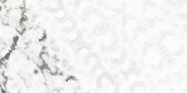 Siyah Yaratıcı Kravat Boyası. Beyaz aşınmış dağınık tasarım. Havalı Kirli Sanat Kanvası. Buz Grafiti Tarzı. Soğuk mürekkep ipeği. Buz gibi kokuşmuş pislik. Gri Tek Renkli Şekil. Gri Kova Boyası.