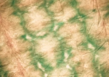 Bej kravat boyama sanatı. Eski suluboya boya. Kahverengi Graffiti Tarzı. Yeşil Soyut Kova. Küflü Graffiti Grunge. Gül Fırçalı Kağıt. Kırmızı Pastel Yağ Mürekkebi. Pembe Huysuz Efekti.