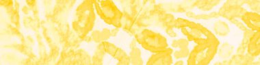 Sarı kravat boyalı Grunge. Aquarelle dokusu. Kirli Sanatlar Pankartı. Parlak suluboya boya fırçası. Sarı Graffiti Grunge. Tarz Fırçası Kağıt. Tarz Fırçası İpek. Hafif Modern Boyalı.