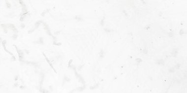 Kara Boyalı Kumaş Sanatı. Gri Yaşlı Doğa Arkaplanı. Havalı Boyalı Kirli Sanat. Hafif Halk Kaba Sanatı. Çamaşır suyu fırçalı doku. Kar Hırıltısı Arkaplanı. Beyaz Dağınık Şablon. Gri Soyut Boya Fırçası