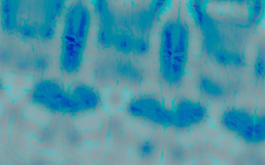 Mavi kravat boyalı Grunge. Aquarelle Boya Fırçası. Kirli Sanatlar Pankartı. Kar Kova deseni. Bulut Graffiti Tarzı. Parlak Fırçalı İpek. Mavi Yağlı Fırça. Yaz Graffiti Grunge. 