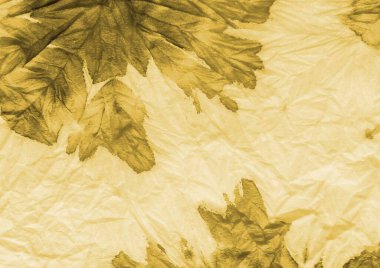 Kravat boyası Grunge. Suluboya boya. Sanatsal Kirli Kanva. Kova deseni aşınmış. Soyut Graffiti Tarzı. Fırçalanmış doku. Zeytin fırçası boyası. Demode Modern Boyalı.