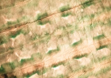 Sarı Sanatsal Kravat Boyası. Aquarelle Boya Fırçası. Kirli Sanatlar Pankartı. Pembe suluboya fırça. Antik Modern Boyalı. Fırçalanmış İpek. Antika Yağ Mürekkebi. Pembe pürüzlü sanat baskısı.