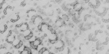 Siyah Lekeli Parşömen. Soyut Duman Örnekleri. Gri Grungy Etkisi. Solgun Grungy Sanat Tarzı. Beyaz Solmuş Moda Malzemeleri. Gri kumaş kağıdı. Pis Toprak. Vintage Tie Boya Çizgileri.