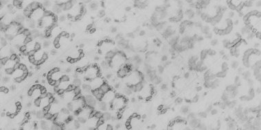 Siyah Kağıt Arkaplan. Yaşlanmış soyut boya fırçası. Yaşlı Efekt Grunge. Görünmez Grungy Sanat Tarzı. Beyaz Çimento Fırça Boyası. Gri Antika Malzeme. Kirli Sanatlar Tarzı. Antik Sanatsal Bağlantı Boyası.