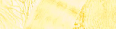 Sarı kravat boyası tasarımı. Altın soyut doku. Sanatsal Canva. Limon Soyut Kova. Görüntü Modern Boya Fırçası. Kış yağı mürekkebi. Yanmış Dişli Kağıt. Sıcak Boya Fırçası Sanatı.