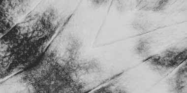 Siyah Kumaş Şekli. Sert Soyut Doku. Duvar Kirli Suluboya. Solgun Modern Grunge. Beyaz Çamaşır Stili Malzemeleri. Eski Şablon El İşi. Boyanmış Kirli Sanatlar. Kırsal Etnik Bağlama Boyası.