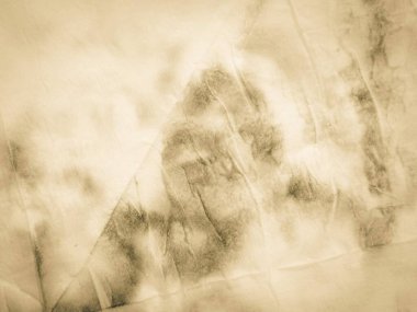 Bej Eski Kağıt Sancak. Krem Retro Suluboya. Sıcak Karanlık Sepya Eski Parşömen. Soluk Kırsal Parşömen. Beyaz Sarı Sanatsal Pislik. Kahverengi Sanatçı Kağıt Yapısı. Yeşil Huysuz Parşömen.