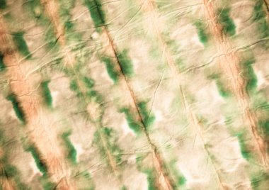 Gül yaratıcı kravat boyası. Aquarelle dokusu. Kirli Sanatlar Boyası. Pembe suluboya mürekkep. Geleneksel Boyalı. Fırçalanmış malzeme. Parşömen Fırçalı Doku. Bej Graffiti Biçimi.