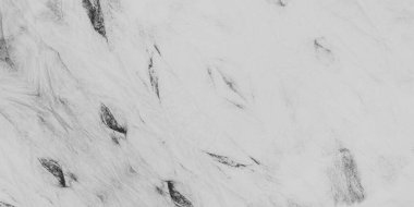 Beyaz desenli boşluk. Yaşlanmış Soyut Yazdırma. Eski Kirli Arkaplan. Görüntü Graffiti Tarzı. Siyah Retro Stylish Ink. Duvar kağıdı. Boyanmış Kirli Sanatlar. Kırsal Sanatsal Bağlama Boyası.