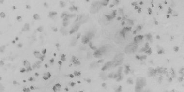 Siyah Kağıt Elementi. Halk Kova Boyası. Görüntü Kirli Sanat Tarzı. Duvar Haşarı Sanat Tarzı. Beyaz pürüzlü mürekkep fırçası. Eski Antik Kitap. Grunge Pisliği. Rustik Kravat Boyası Sanatı.