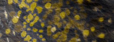 Lüks kravat boyası baskısı. Aquarelle Boya Fırçası. Kirli Arkaplan. Gri suluboya baskı. Güneşli Graffiti Grunge. Altın fırçalı kağıt. Parlak Yağ Mürekkebi. Sarı Grafik Boyalı.