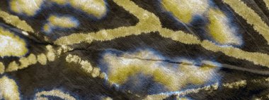 Lüks kravat boyama sanatı. Aquarelle dokusu. Kirli Arkaplan. Bronz suluboya boya. Geleneksel Boyalı Parlat. Altın fırçalı kumaş. Sunny Oil Ink. Gri Modern Boyalı.