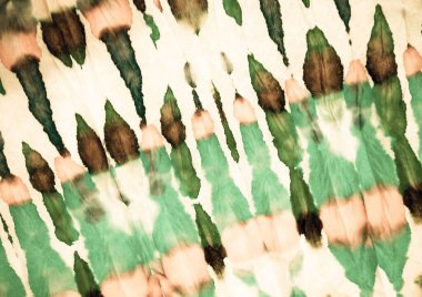 Gül sanatsal kravat boyası. Suluboya boya fırçası. Kirli Arkaplan. Yeşil Kova Boya Fırçası. Eski Modern Boyalı. Fırçalanmış İpek. Parşömen Fırçalı Doku. Yeşil Kaba Sanat YazıcıComment.