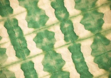 Pastel kravat boyama sanatı. Aquarelle Boya Fırçası. Kirli Arkaplan. Sarı suluboya mürekkep. Klasik Grafik Boyalı. Yağlı fırça. Kağıt fırçalı malzeme. Yeşil Modern Boyalı.