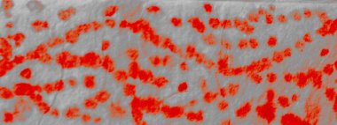 Ölüm Yaratıcı Kravat Boyası. Aquarelle dokusu. Kirli Sanatlar Boyası. Gri Kova dokusu. Soyut Kabataslak Sanat Yazıcısı. Yağlı fırça. Kırmızı Yağlı Fırça. Geleneksel Boyalı.