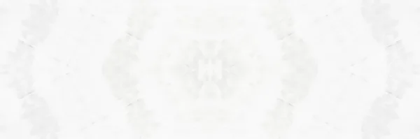 Beyaz Çamur Görüntü Soyut Boya Fırçası Gri Grungy Dirt Soluk — Stok fotoğraf