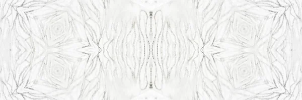 黑霜形状 冰文摘水族馆 雪的艺术污垢 纸制模板工艺 白雪现代风云 冻结模糊的刷子材料 灰溜溜的泥巴白领带 — 图库照片