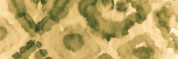 Kitap Yaratıcı Kravat Boyası. Suluboya Baskı. Kirli Arkaplan. Suluboya fırça kullanıyordu. Grunge Geleneksel Boyalı. Yağlı fırça. Soluk Yağlı Fırça. Moody Geleneksel Boyalı.