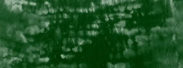 ブラック グランジ アクエレルペイント ダーティアートバナー ナチュラル水彩絵筆 創造的なグラフィックは死んだ 黒茶色の絹 緑のブラシ素材 Modern Died — ストック写真