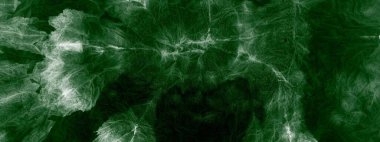 Hafif kravat boyama sanatı. Suluboya boya. Sanatsal Kirli Kanva. Doğal Kova Boyası. Yaratıcı Modern Boyalı. Yeşil Yağ Fırçası. Siyah Fırçalı Malzeme. Görüntü Modern Boyalı.