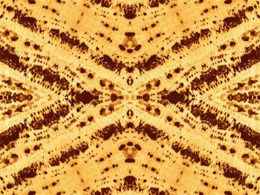 Kahverengi Sembol Süsü. Etnik Boyalı Sanat. Sarı Soyut Kova. Yakılmış soyut boya fırçası. Renkli Fırçalı İpek. Ochre Graffiti Grunge. Halk Kağıtlarını Fırçaladı. Kırsal Grunge Arkaplanı.