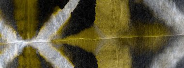 Altın Yaratıcı Kravat Boyası. Aquarelle Boya Fırçası. Kirli Sanatlar Pankartı. Gri Kova Boyası. Parlak Modern Boyalı. Bronz Fırçalı İpek. Güneşli Fırçalı Doku. Sarı Graffiti Biçimi.